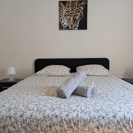 Le Mirage - Appartement 2 Chambres, Salon, Cuisine Equipee, Parking Et Wifi Gratuit Mulhouse Luaran gambar