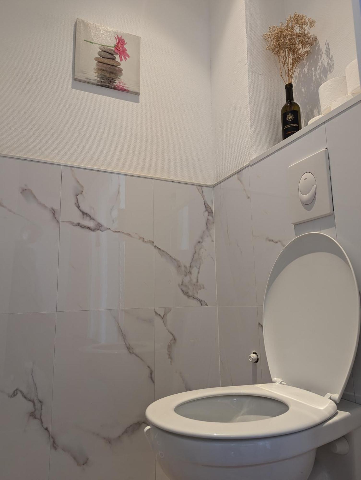 Le Mirage - Appartement 2 Chambres, Salon, Cuisine Equipee, Parking Et Wifi Gratuit Mulhouse Luaran gambar